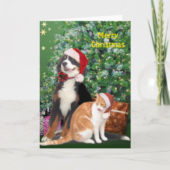 Cartão De Festividades Gato e Cachorro com Papai Noel (Frente)