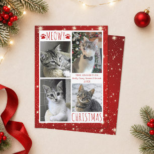 Cartão De Festividades Gato Engraçado 4 Colagem de Fotos FELIZ NATAL MEOW