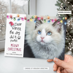 Cartão De Festividades Gato Engraçado DEAR SANTA Luzes de Natal Foto