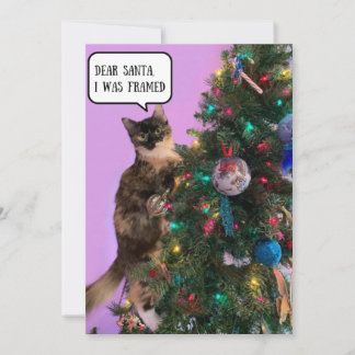 Cartão De Festividades Gato engraçado em apuros com o Papai Noel no Natal