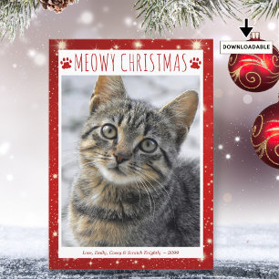 Cartão De Festividades Gato Engraçado FELIZ NATAL Foto Patinhas Vermelhas