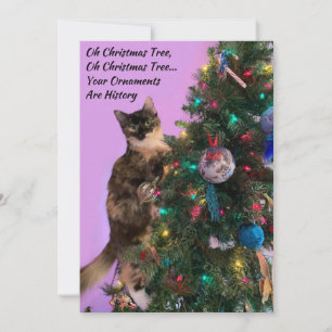 Cartão De Festividades Gato Engraçado na Árvore de Natal de Olho nos Enfe