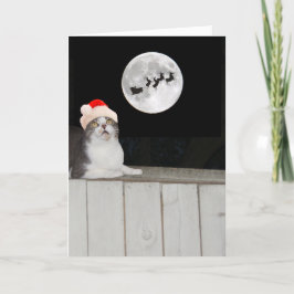 Cartão De Festividades Gato Engraçado Vê Papais noeis