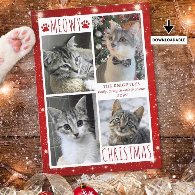 Cartão De Festividades Gato Engraçado Vermelho MEOWAS NATAL 4 Fotos (Criador carregado)
