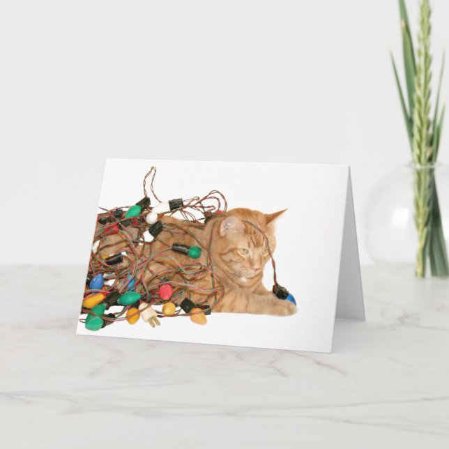 Cartão De Festividades Gato enrolado em luzes de Natal (Frente)