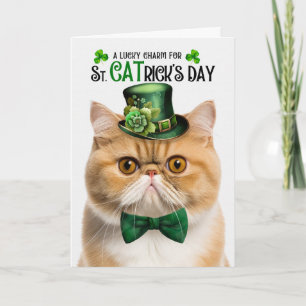 Cartão De Festividades Gato Exótico de Pelo Curto St CATrick's Day Sorte