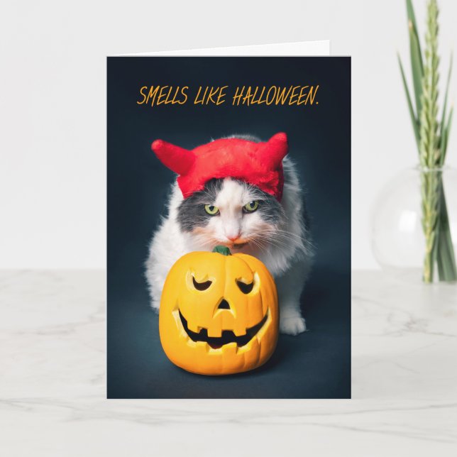 Cartão De Festividades Gato Feliz de Halloween na Figurina Cheirando Abób (Frente)