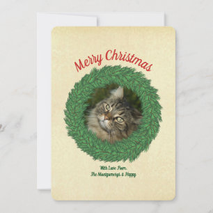 Cartão De Festividades Gato Feliz Natal em Coroa de Fotos de Animais de E