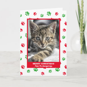 Cartão De Festividades Gato Feliz Natal Vermelho Verde Impressões de Pata