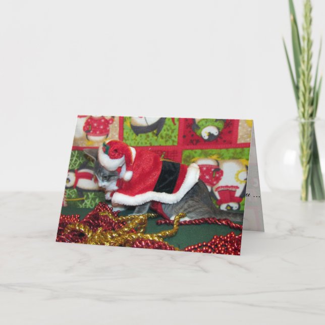 Cartão De Festividades Gato, Gatinho, Natal, Resgate, Foto (Frente)
