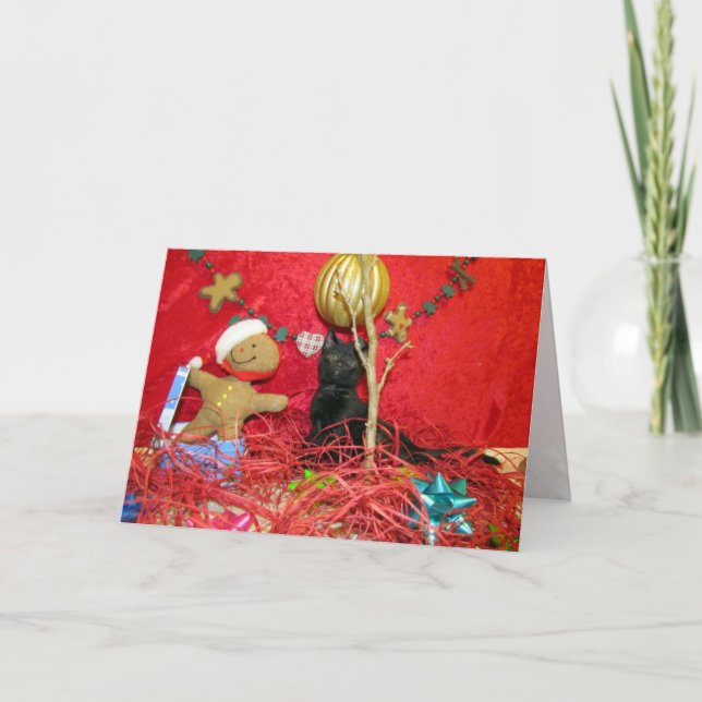 Cartão De Festividades Gato, Gatinho, Natal, Resgate, Foto (Frente)