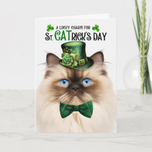 Cartão De Festividades Gato Himalaio CATrick's Day Amuleto da Sorte