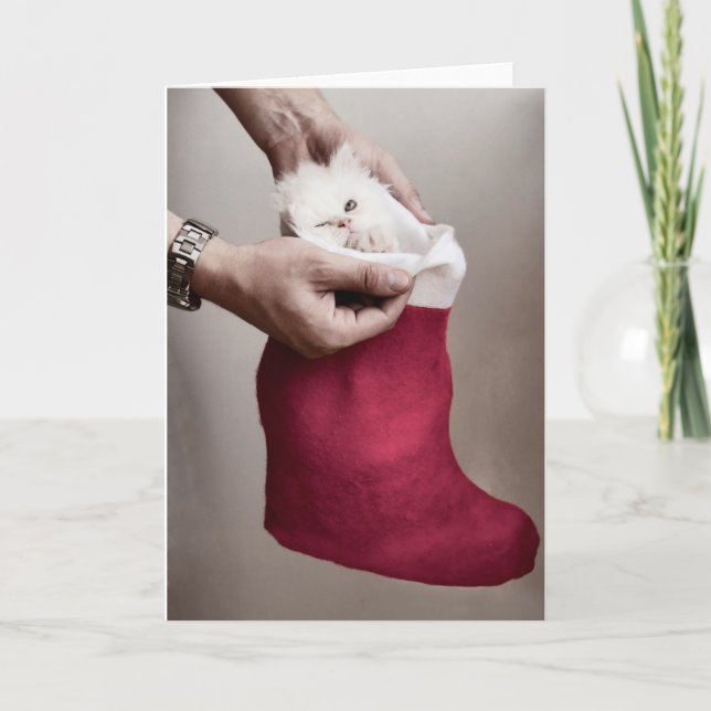 Cartão De Festividades Gato irritado (Frente)