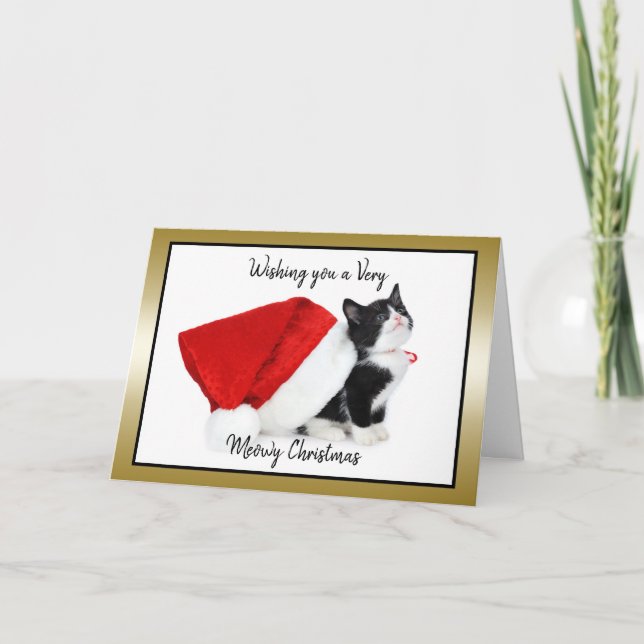 Cartão De Festividades Gato Kitten Natal é um Feliz Natal (Frente)