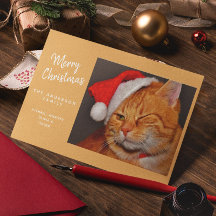 Gato Laranja Divertido de Natal com Chapéu de Papa