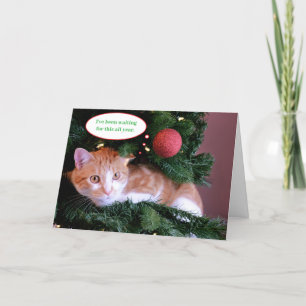 Cartão De Festividades Gato Laranja Verde Engraçado na Árvore de Natal