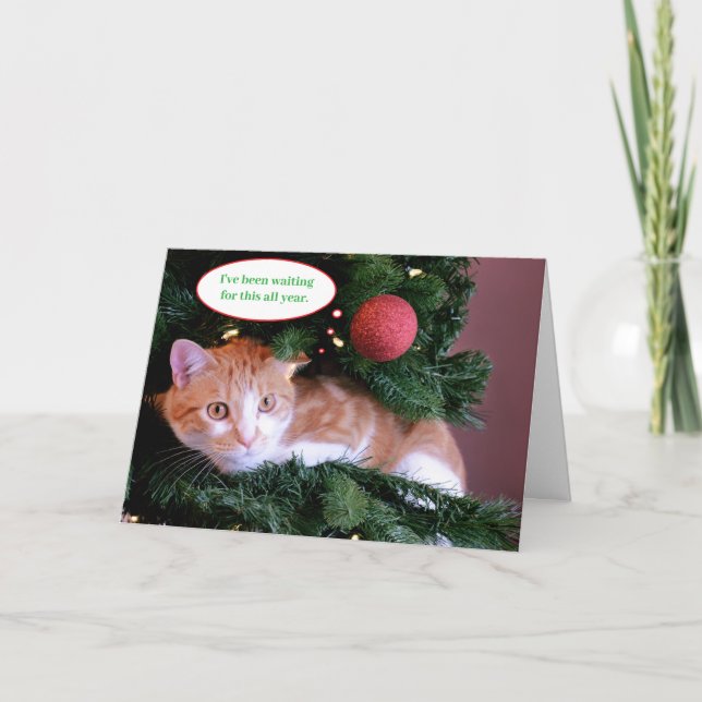Cartão De Festividades Gato Laranja Verde Engraçado na Árvore de Natal (Frente)