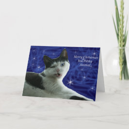 Cartão De Festividades Gato Natal Animal Sujo