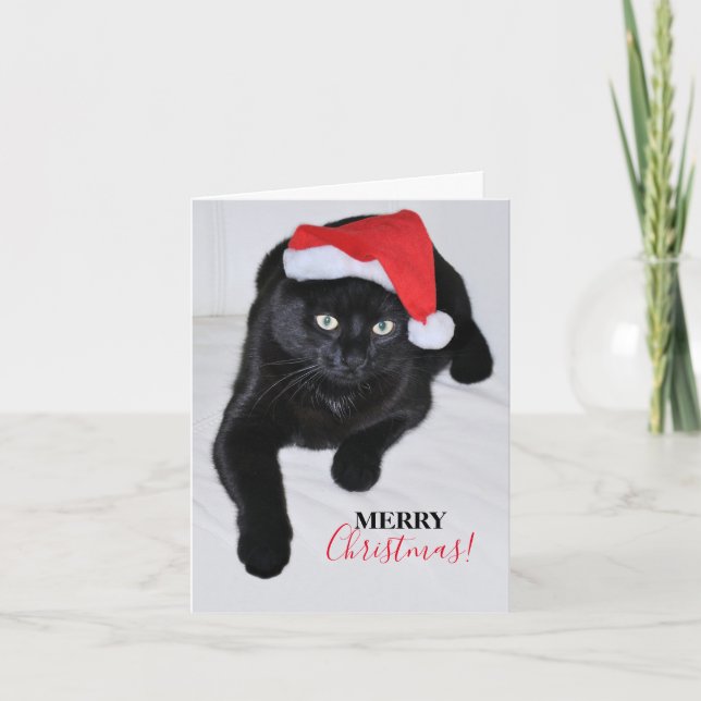 Cartão De Festividades Gato Negro com Chapéu Vermelho do Pai Natal (Frente)