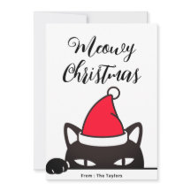 Gato Negro de Natal engraçado