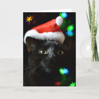 Cartão De Festividades Gato Negro no Natal