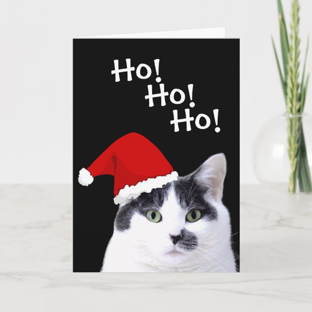 Cartão De Festividades Gato no Natal (Frente)