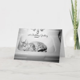 Cartão De Festividades Gato num Coletor, Felino de Aniversário do Retro K