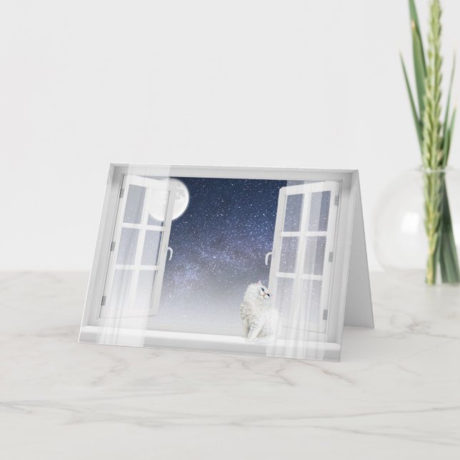 Cartão De Festividades Gato Persa Na Janela (Frente)