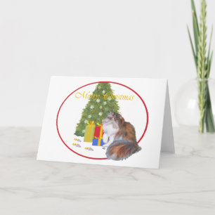 Cartão De Festividades Gato Persa Tricolor Natal