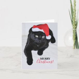 Cartão De Festividades Gato Preto com o Chapéu Vermelho de Papai Noel