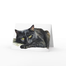 Gato Preto de Halloween em Aquarela