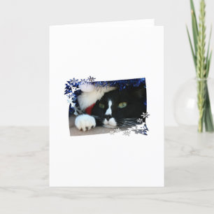 Cartão De Festividades Gato preto e branco, chapéu de santa, tinsel e uma
