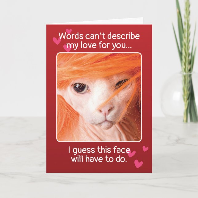 Cartão De Festividades Gato Sexy Dia de os namorados Engraçado (Frente)