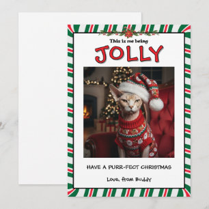 Cartão De Festividades Gato Sphynx Mal-Humorado Engraçado em Suéter Perso