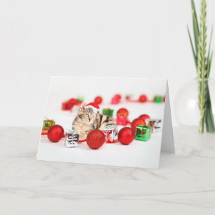 Cartão De Festividades Gato usando enfeite de Natal chapéu vermelho de Pa