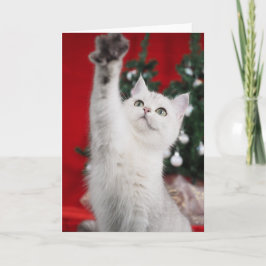 Cartão De Festividades Gato XMAS Branco