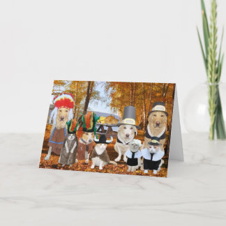 Cartão De Festividades Gatos/Cães/Laboratórios Engraçados como Peregrinos