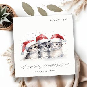 Cartão De Festividades Gatos de Aquarela Cuja Fúria e Feliz Natal