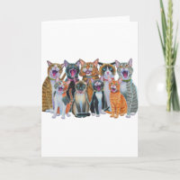 Gatos De Carro