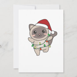 Cartão De Festividades Gatos De Inverno De Natal