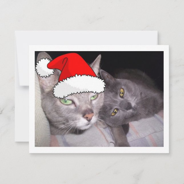 Cartão De Festividades Gatos de Natal (Frente)