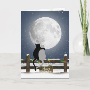 Cartão De Festividades Gatos de Natal em uma Cerca de Inverno