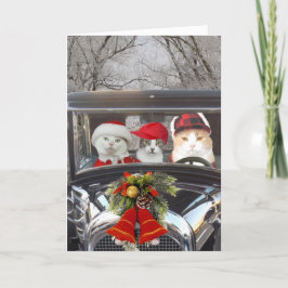 Cartão De Festividades Gatos de Natal no Carro