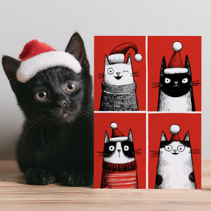 Cartão De Festividades Gatos de Papai Noel Fofos Amante de Gatos Divertid