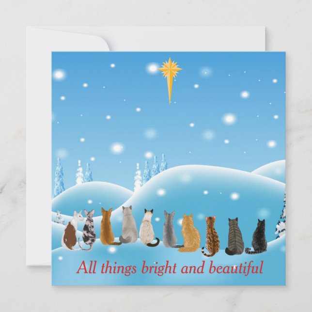 Cartão De Festividades Gatos Estrela Religiosa Todas As Coisas Animais (Frente)