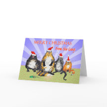 Gatos, Feliz Natal do grupo, humor