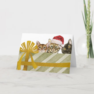 Cartão De Festividades Gatos Fofos e Pacote de Natal