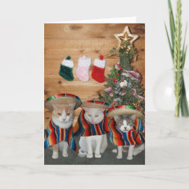 Cartão De Festividades Gatos/Gatinhos Engraçados Feliz Navidad