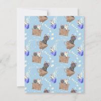 Gatos na caixa e leite cai em azul