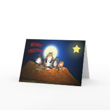 Gatos no telhado, Feliz Natal, humor